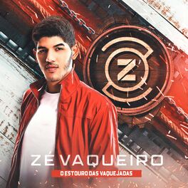 Album cover of O Estouro das Vaquejadas