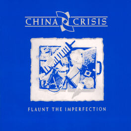 Album cover of Flaunt The Imperfection