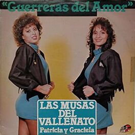 Album cover of Guerreras Del Amor