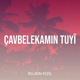 Album cover of Çavbelekamin Tuyî