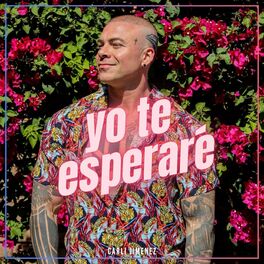 Album cover of Yo te esperaré