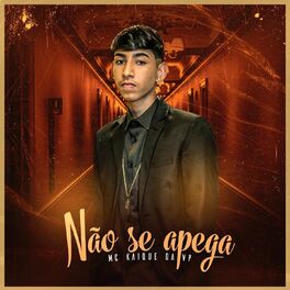 Album cover of Não Se Apega