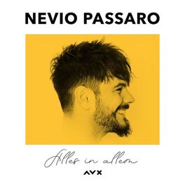 Album cover of Alles in allem