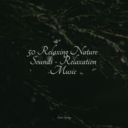 Album cover of 50 Relaxing Nature Sounds - Relaxation Music