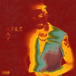 Album cover of X.FILE