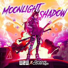 Album picture of Moonlight Shadow