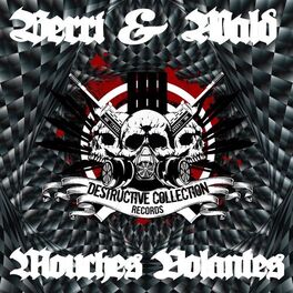 Album cover of Mouches Volantes