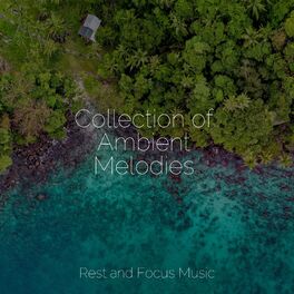 Album cover of Collection of Ambient Melodies