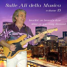Album cover of Sulle ali della musica, Vol. 13