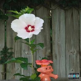 Album cover of Flowerpot