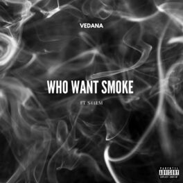 Album cover of Who Want Smoke (feat. Salem)