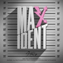 Album cover of MAXIDENT