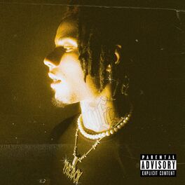 Album cover of Ysl
