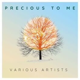 Album cover of Precious to Me