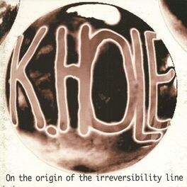 Album cover of On the Origin of the Irreversibility Line