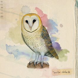 Album cover of Aves de Chile