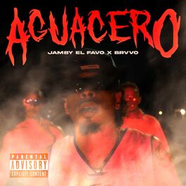 Album cover of AGUACERO