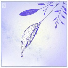 Album cover of Nepenthe