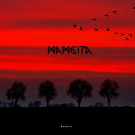 Album cover of Mamacıta (feat. Mc artisan)