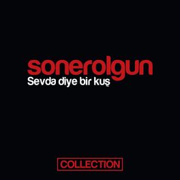 Album cover of Sevda Diye Bir Kuş Collection