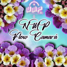 Album cover of Flow Camará
