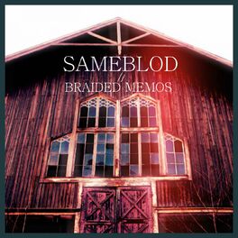 Album cover of Braided Memos