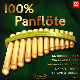 Album cover of 100% Panflöte
