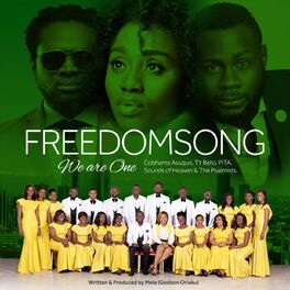 Album cover of Freedom Song