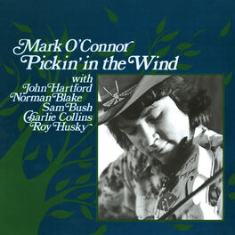 Album cover of Pickin' In The Wind