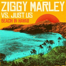 Album cover of Beach In Hawaii