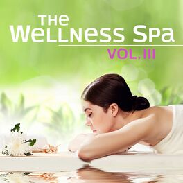 Album cover of The Wellness Spa, Vol. 3 (Soft Instrumental Piano Music for Meditation, Relaxation, Massage, Stress Relief, Sound Therapy, He