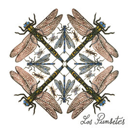 Album cover of Los Punsetes