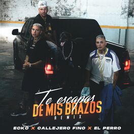Album cover of Te Escapas De Mis Brazos (Remix)