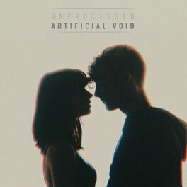 Album cover of Artificial Void