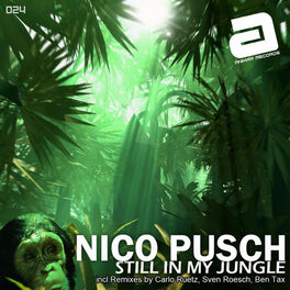 Album cover of Nico Pusch - Still in my Jungle (MP3 Single)