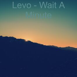 Album cover of Wait a Minute