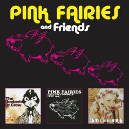 Album cover of Pink Fairies and Friends
