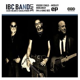 Album cover of IBC BAND LIVE