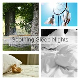 Album cover of Soothing Sleep Nights