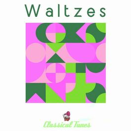 Album cover of The Best Waltzes Collection