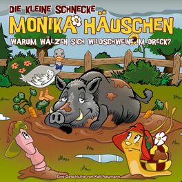 Album cover of 66: Warum wälzen sich Wildschweine im Dreck?