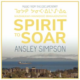 Album cover of Spirit to Soar (Music from the Documentary)