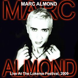 Album cover of Live At Lokerse Festival, 2000