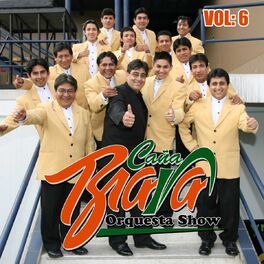 Album cover of Vol.6