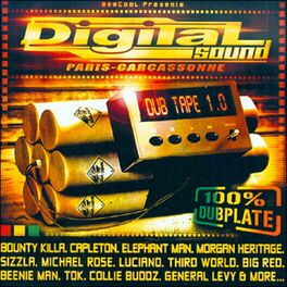 Album cover of Digital Sound Dub Tape 1.0 (100% Dubplate)