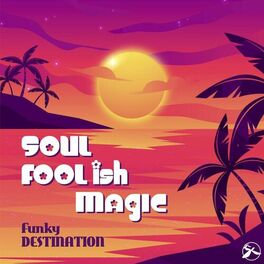 Album cover of Soul Foolish Magic