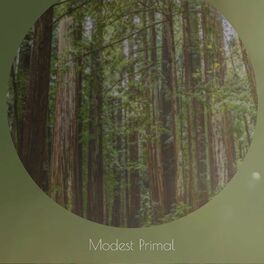 Album cover of Modest Primal