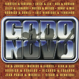 Album cover of Gado Novo