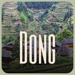 Album cover of Dong