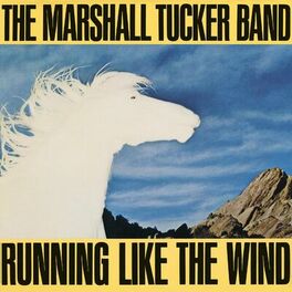 Album cover of Running Like The Wind